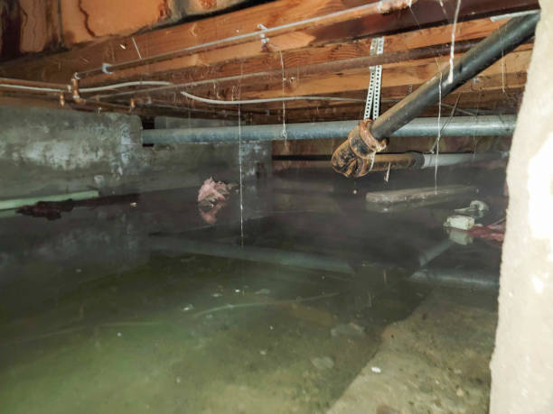 Best Emergency water damage restoration  in Pine Air, FL