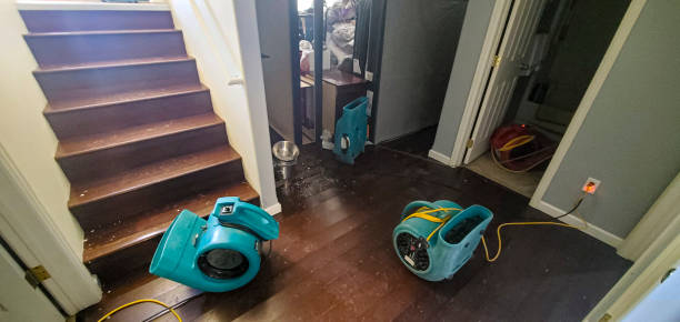 Best Water damage contractors near me  in Pine Air, FL