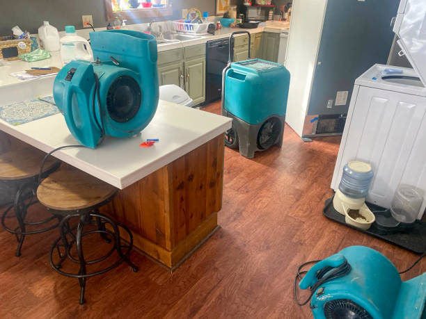Trusted Pine Air, FL Water damage restoration Experts