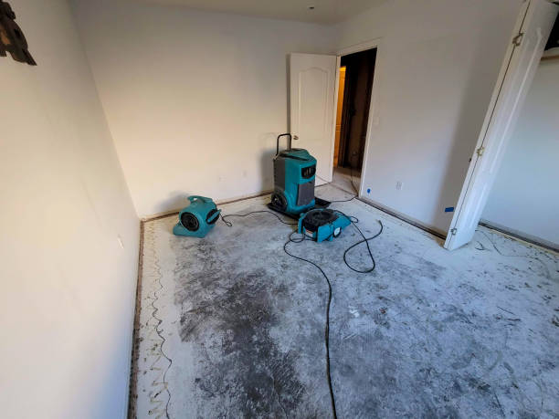 Best Flood restoration services  in Pine Air, FL