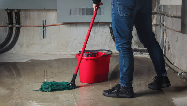 Best Basement water damage restoration  in Pine Air, FL