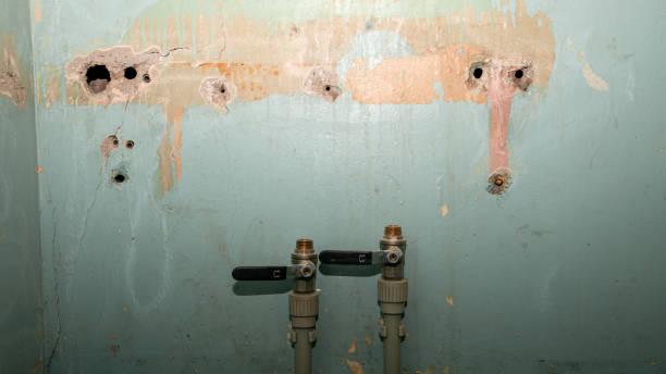 Best Professional water damage repair  in Pine Air, FL