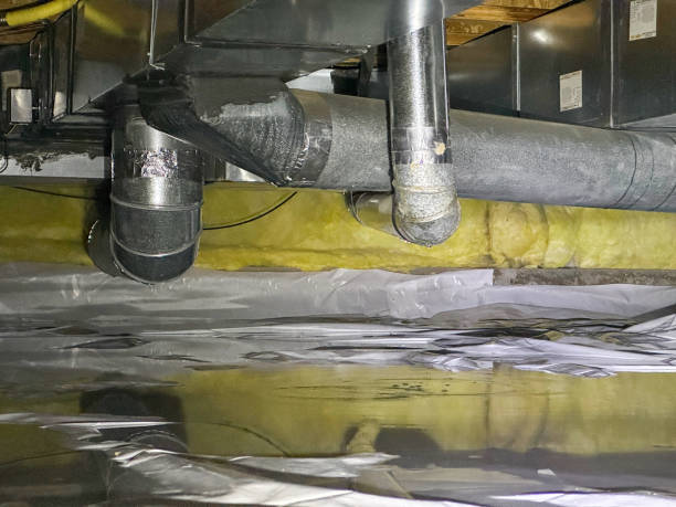 Best Commercial water damage restoration  in Pine Air, FL