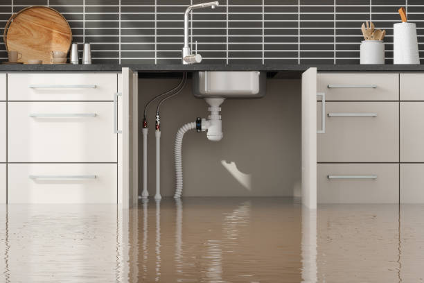 Best 24-hour water damage restoration  in Pine Air, FL