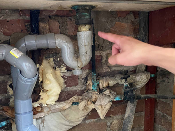 Best Water damage restoration cost  in Pine Air, FL