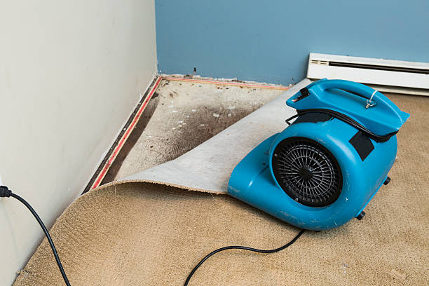Best 24/7 water damage repair  in Pine Air, FL